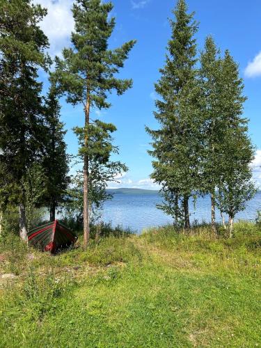 a boat sitting in the grass next to trees at Camp Caroli Family House in Jukkasjärvi