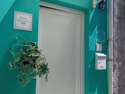 New Bluebell house in heart of Porto