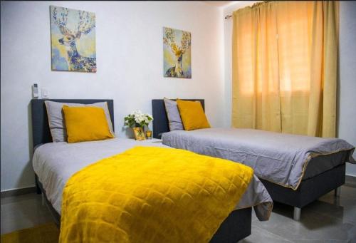 Coco Rentals Curacao