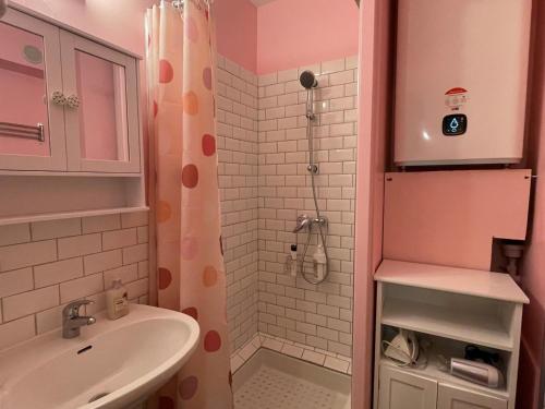 La salle de bains rose est pourvue d'un lavabo et d'une douche. dans l'établissement Studio lumineux et fonctionnel à Aix-les-Bains, proche centre-ville et thermes - FR-1-555-10, à Aix-les-Bains