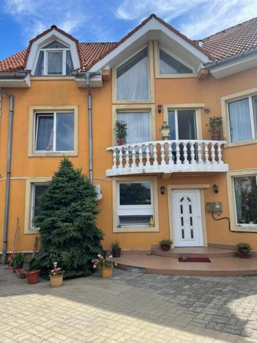 ein Haus mit einem Weihnachtsbaum davor in der Unterkunft Pensiunea Lotus Baile 1 Mai in Baile Unu Mai