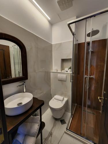 a bathroom with a toilet and a sink and a shower at Sokak Boutique Hotel in Berat