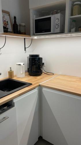 une cuisine avec un comptoir avec un micro-ondes dans l'établissement Cosy and Spacious appartement near metro line 4 & RER B, à Bagneux