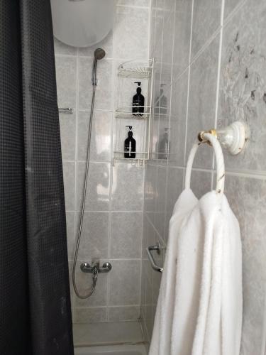 Apartamento acogedor