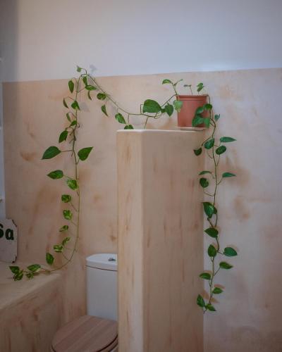 a bathroom with a toilet and a plant on the wall at Ataraxia in Aroniadika