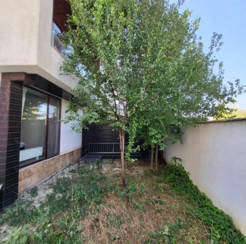a tree in a yard next to a building at Apartament cu terasă in Bucharest