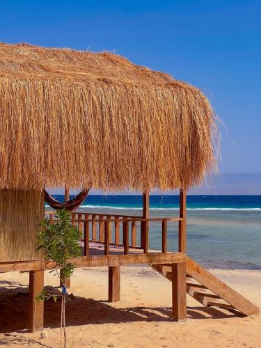 Landskap semula jadi dekat dengan resort