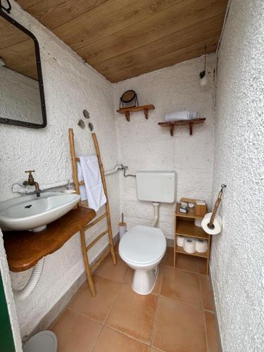 une petite salle de bain avec toilettes et lavabo dans l'établissement Mrdina house, à Kali