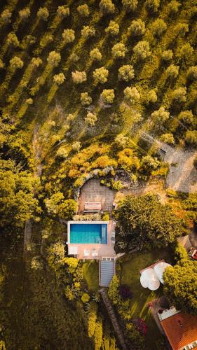 Πισίνα στο ή κοντά στο Agriturismo Podere il Fornacino