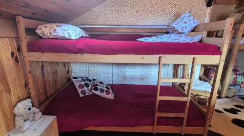 Katil dua tingkat atau katil-katil dua tingkat dalam bilik di Chalet LE CHEVREUIL Proche La Foux d'Allos