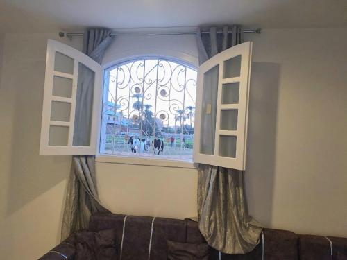 Fotografie z fotogalerie ubytování Menna guest house v destinaci Luxor