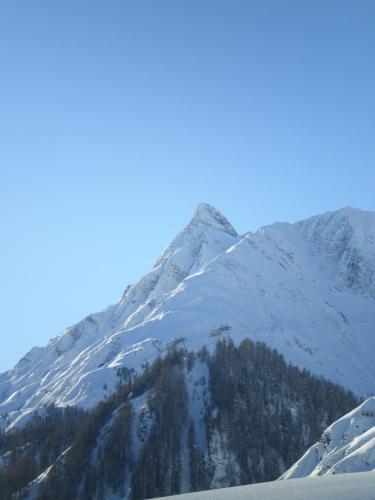 a snow covered mountain with trees in front of it at Haus Viola in Samnaun