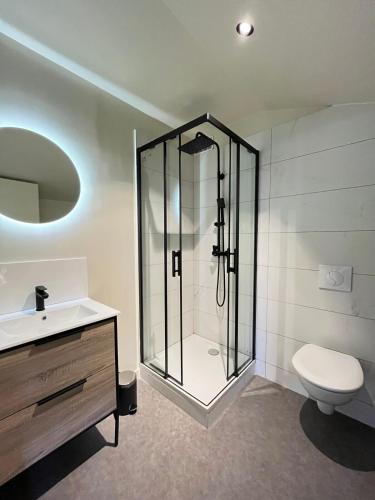 une salle de bain avec une douche, des toilettes et un lavabo dans l'établissement Studio rénové dans une charmante résidence, à Saint-Étienne