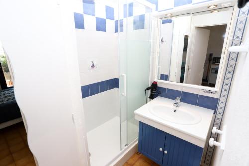 une salle de bain avec un lavabo et un miroir dans l'établissement St Cyprien charmant rez de jardin 2 velos Piscine, à Saint-Cyprien