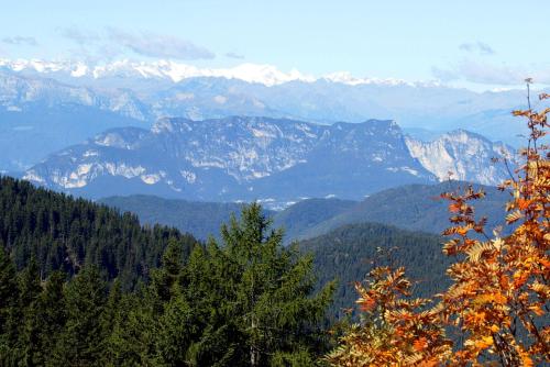 Φωτογραφία από το άλμπουμ του Maso La Vecchia Quercia σε Baselga di Pine