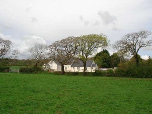 a large white house in a field with trees at The Paddock in Haverfordwest
