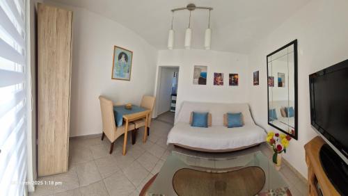 Μια τηλεόραση ή/και κέντρο ψυχαγωγίας στο Cute studio with garden and terrace,by the sea