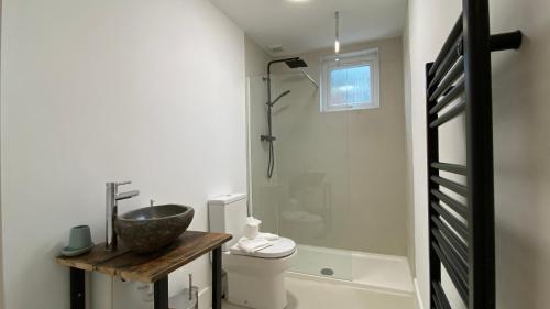 a bathroom with a sink and a toilet and a shower at De Parys Self-Catering Flat 2 in Bedford in Bedford