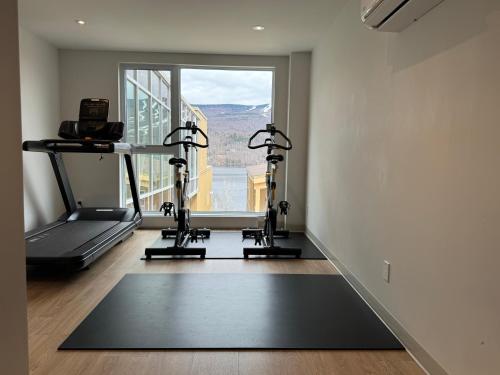 a gym with two tread machines and a large window at Lago by Tremblant Platinum in Mont-Tremblant