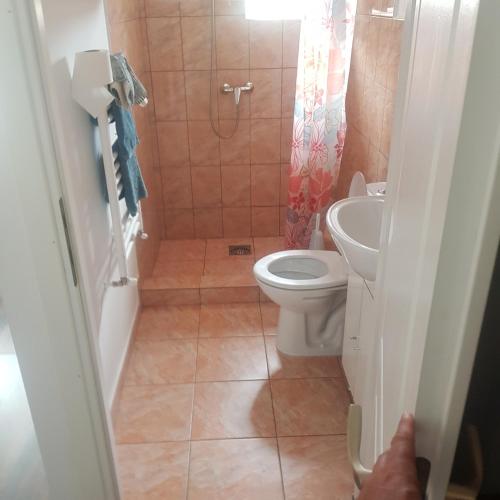 a bathroom with a toilet and a sink at Pensiunea Ovidiu in Beclean