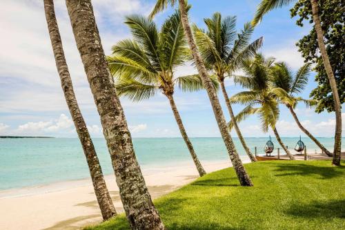 a group of palm trees on the beach at One&Only Le Saint Géran, Mauritius in Belle Mare