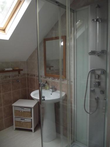 une salle de bain avec un lavabo et une douche dans l'établissement Les Gîtes du Triskell, Gîte de l'AIR, à Sainte-Tréphine