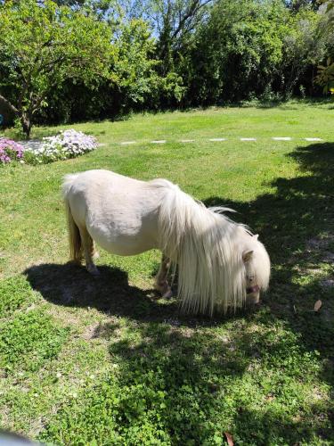 Foto Gîte de charme 4
