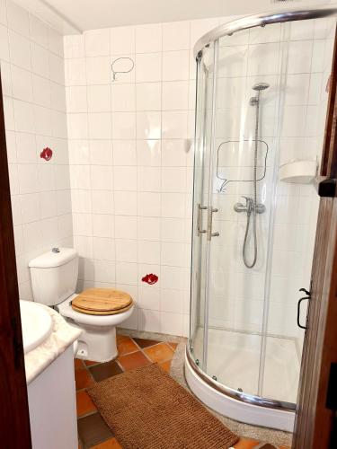 a bathroom with a toilet and a shower at Serra Retreat in Oliveira do Hospital