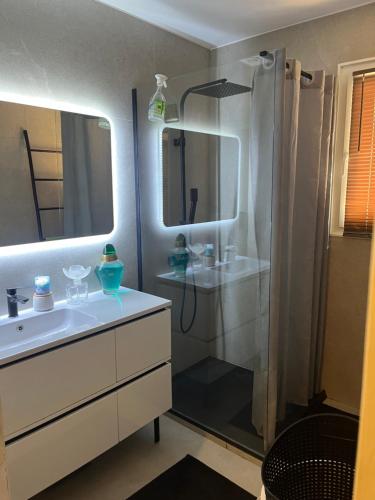 une salle de bain avec douche et lavabo dans l'établissement Villa Bagnols en forêt, à Bagnols-en-Forêt