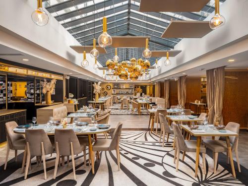 Niepce Paris, Curio Collection By Hilton