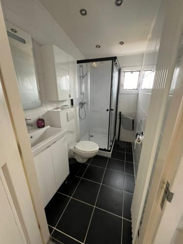 a bathroom with a shower and a toilet and a sink at Milos Ferienhaus mit Flussblick in Lathum