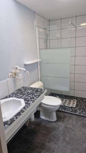 une salle de bain avec un lavabo, des toilettes et une douche dans l'établissement Ferienhaus Cottage Maison typique, à Brignogan-Plage