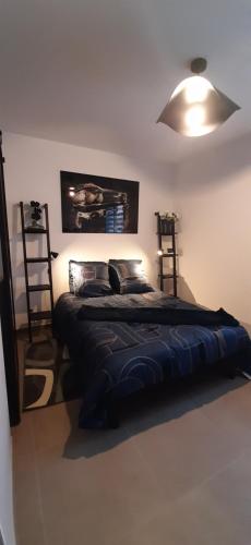 a bedroom with a large bed with a light on it at Chez bigoudy in Penta-di-Casinca