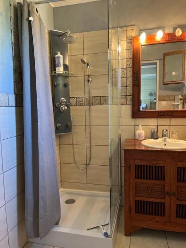 a bathroom with a shower and a sink at Gîte " Suzon" à PEYROUTAS Vignonet St Emilion in Vignonet
