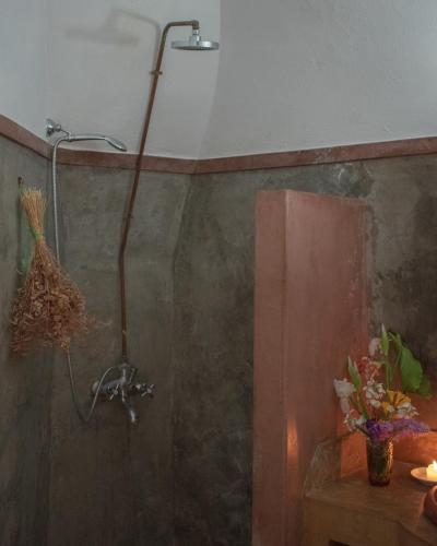 a shower stall in a bathroom with a mirror at Borantza stone house in Aroniadika