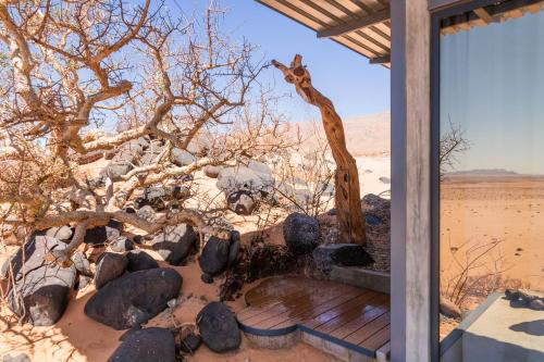 a giraffe standing next to a tree in the desert at Barkhan Dune Retreat in Solitaire