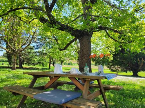 a picnic table under a tree in a park at La Gurlanne in Lasséran