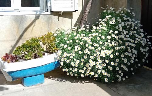 Awesome Home In Veli Iz With Wifi