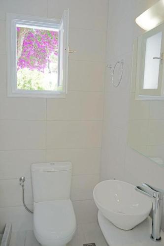 Gallery image of Klironomos Apartments Logaras in Logaras