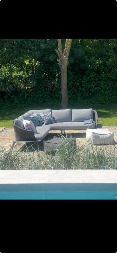 a couch sitting next to a tree next to a pool at Le Mazet Chambre d'Hôtes in Mauguio
