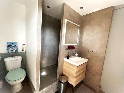 a small bathroom with a toilet and a sink at Le Mazet Chambre d'Hôtes in Mauguio