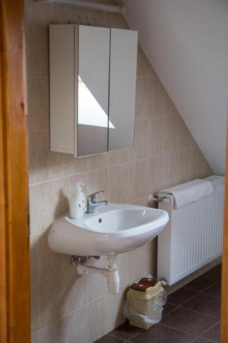 a bathroom with a sink and a mirror at István lovas tanya in Kiskőrös