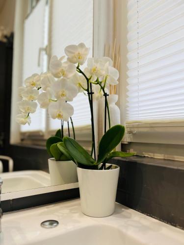 ムツィグにあるLe 8のシンクのカウンターに置かれた2つの白い花
