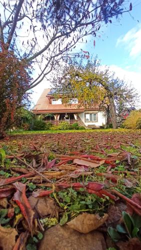 a house on a hill with leaves on the ground at Rodzinny zakątek - Noclegi w Bieszczadach - jacuzzi in Myczkowce
