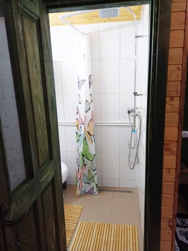 a bathroom with a shower and a toilet at Gradina Tisa in Comăneşti