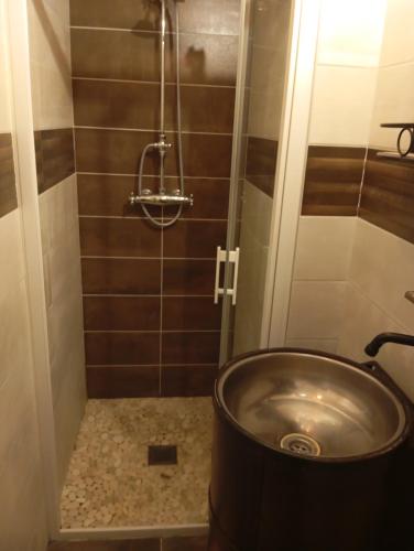 une salle de bain avec douche et lavabo dans l'établissement la loge sparnacienne, à Épernay