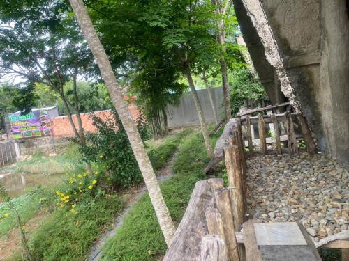 a view of a garden with a wooden bench and trees at FOREST BREATH ECO-LODGE in Tân Phú