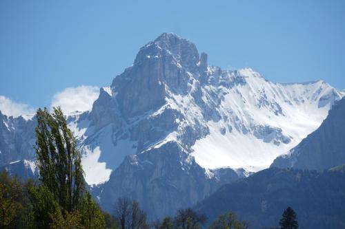 a snow covered mountain with a tree in front of it at Le mas relais du Beaumont in La Salle-en-Beaumont