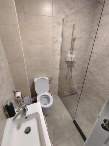 a bathroom with a shower with a toilet and a sink at Casa Dobro Dubova in Dubova