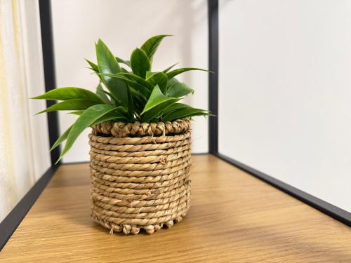 Gambar di galeri bagi kg apartment 1 di Pefkohori